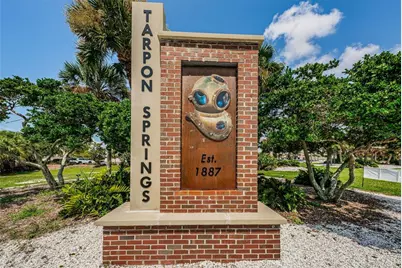 1170 S Pointe Alexis Drive, Tarpon Springs, FL 34689 - Photo 59