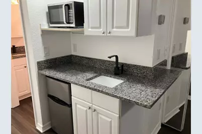 21146 Fountain View Lane #4303, Lutz, FL 33558 - Photo 27