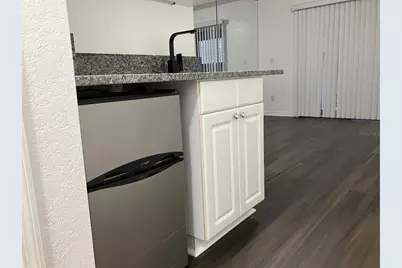 21146 Fountain View Lane #4303, Lutz, FL 33558 - Photo 35