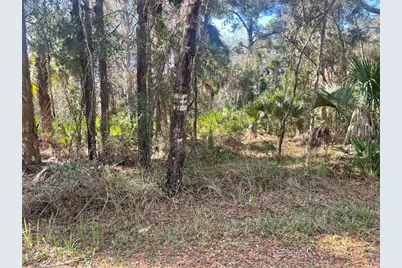 1120 NE 3rd Street, Crystal River, FL 34429 - Photo 3