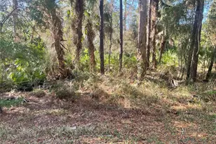 1120 NE 3rd St, Crystal River, FL 34429 - Photo 1