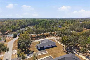 34111 August Ave, Webster, FL 33597 - Photo 57