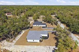 34111 August Ave, Webster, FL 33597 - Photo 91