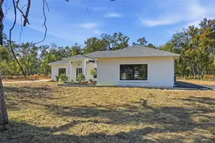 34111 August Ave, Webster, FL 33597 - Photo 59