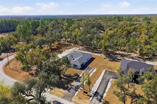 34111 August Ave, Webster, FL 33597 - Photo 87