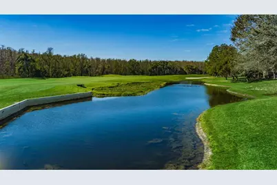 9819 Conservation Drive, New Port Richey, FL 34655 - Photo 57