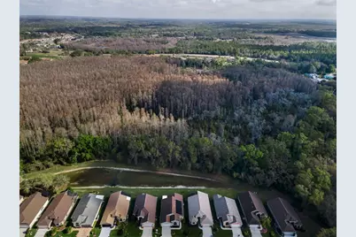 9819 Conservation Drive, New Port Richey, FL 34655 - Photo 5