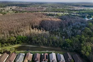 9819 Conservation Dr, New Port Richey, FL 34655 - Photo 5