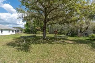 1122 Maravista Dr, Trinity, FL 34655 - Photo 33