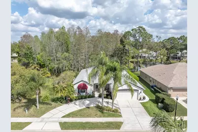 1122 Maravista Drive, Trinity, FL 34655 - Photo 39