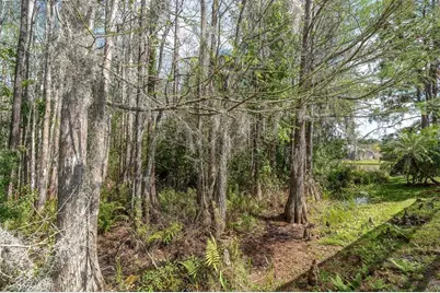 1122 Maravista Drive, Trinity, FL 34655 - Photo 31