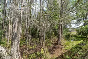 1122 Maravista Dr, Trinity, FL 34655 - Photo 31