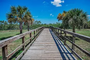 133 N Pinellas Ave, Tarpon Springs, FL 34689 - Photo 83