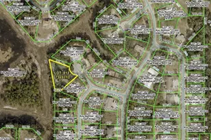 7226 Sky Ct, Spring Hill, FL 34606 - Photo 1