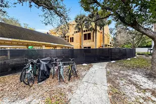 3313 Haviland Ct, Palm Harbor, FL 34684 - Photo 7