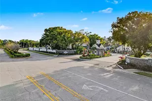 3313 Haviland Ct, Palm Harbor, FL 34684 - Photo 9