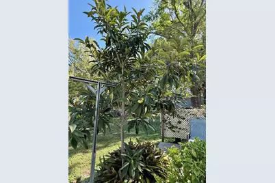 5121 Rawls Road, Tampa, FL 33624 - Photo 37