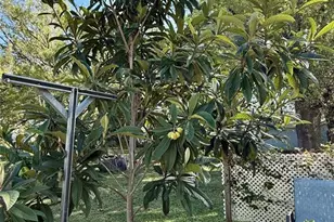 5121 Rawls Rd, Tampa, FL 33624 - Photo 37