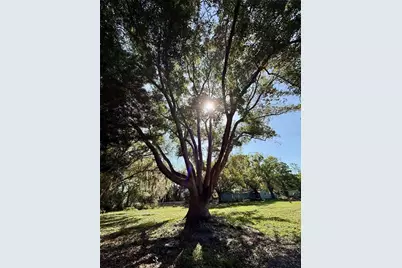 5121 Rawls Road, Tampa, FL 33624 - Photo 35