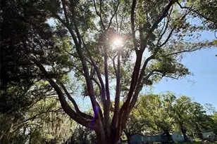 5121 Rawls Rd, Tampa, FL 33624 - Photo 35