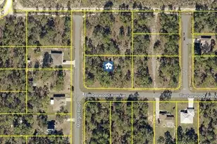 Lot 3 Margot Rd, Weeki Wachee, FL 34614 - Photo 1