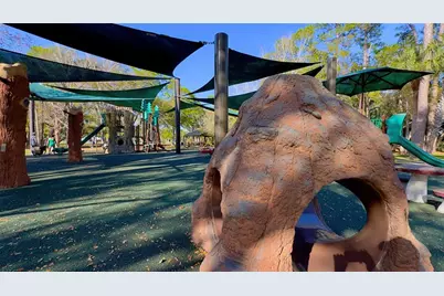 1220 Orange Avenue, Dunedin, FL 34698 - Photo 53