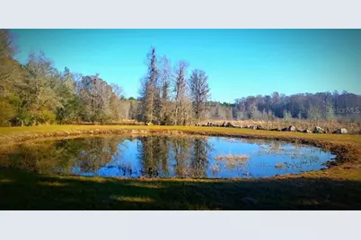 1106 Fox Hunter Rd, Perry, FL 32348 - Photo 1