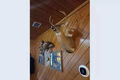 1106 Fox Hunter Rd, Perry, FL 32348 - Photo 17