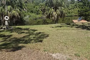 4503 Edith St, New Port Richey, FL 34652 - Photo 3