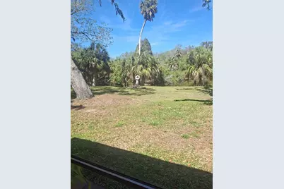 4503 Edith Street, New Port Richey, FL 34652 - Photo 11