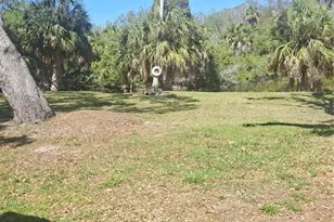 4503 Edith St, New Port Richey, FL 34652 - Photo 11