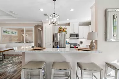 11658 Callisia Drive, Odessa, FL 33556 - Photo 11