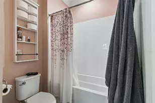 11658 Callisia Dr, Odessa, FL 33556 - Photo 37