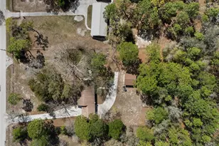 17835 Alexson St, Spring Hill, FL 34610 - Photo 7