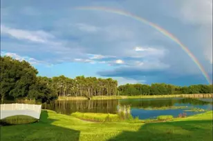 1312 Brooke View Dr, Odessa, FL 33556 - Photo 9