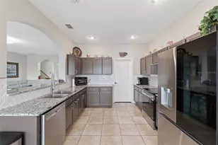 1312 Brooke View Dr, Odessa, FL 33556 - Photo 5