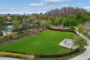 3462 Forsythia Dr, Odessa, FL 33556 - Photo 91