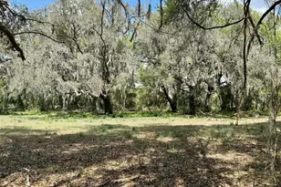 10010 Fort King Rd, Dade City, FL 33525 - Photo 31