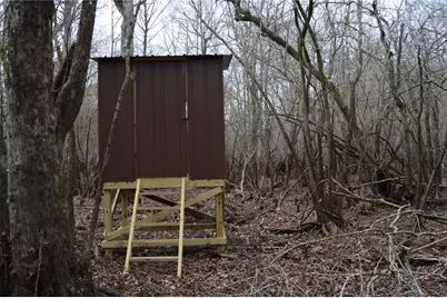 1459 NE 743 Street, Cross City, FL 32628 - Photo 27