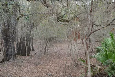 1459 NE 743 Street, Cross City, FL 32628 - Photo 39