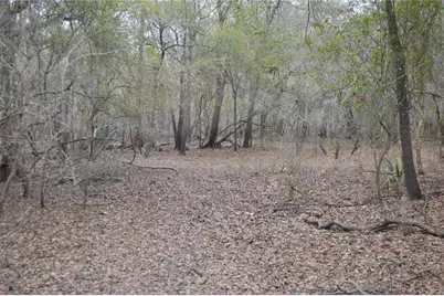 1459 NE 743 Street, Cross City, FL 32628 - Photo 41