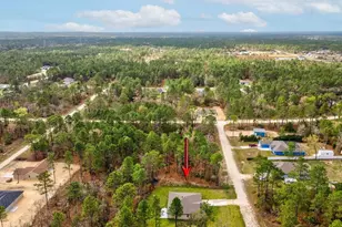 16334 Frost Bird Rd, Weeki Wachee, FL 34614 - Photo 41