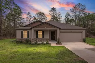 16334 Frost Bird Rd, Weeki Wachee, FL 34614 - Photo 1