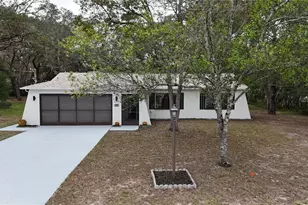 1311 Battersea Ave, Spring Hill, FL 34609 - Photo 31