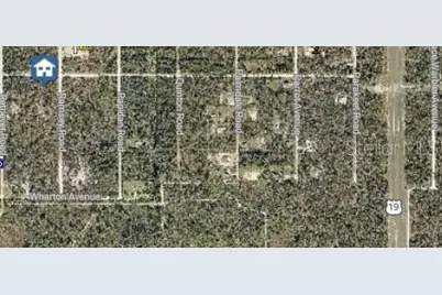 18131 Ramsey Road, Weeki Wachee, FL 34614 - Photo 3