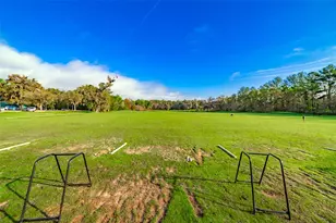 4347 Gevalia Dr, Brooksville, FL 34604 - Photo 67