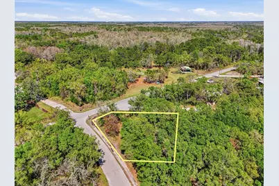 100 Fern Street, New Port Richey, FL 34654 - Photo 25