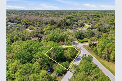 100 Fern Street, New Port Richey, FL 34654 - Photo 23