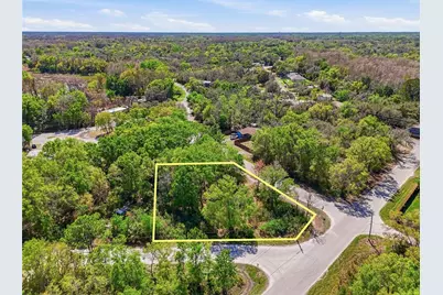 100 Fern Street, New Port Richey, FL 34654 - Photo 7