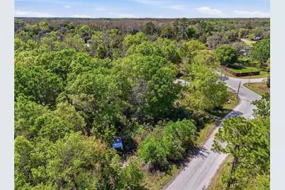 100 Fern Street, New Port Richey, FL 34654 - Photo 31